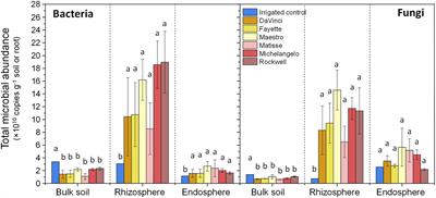 Abundance, diversity, and composition of root-associated microbial communities varied with tall fescue cultivars under water deficit